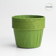Green Portion Control Cups
